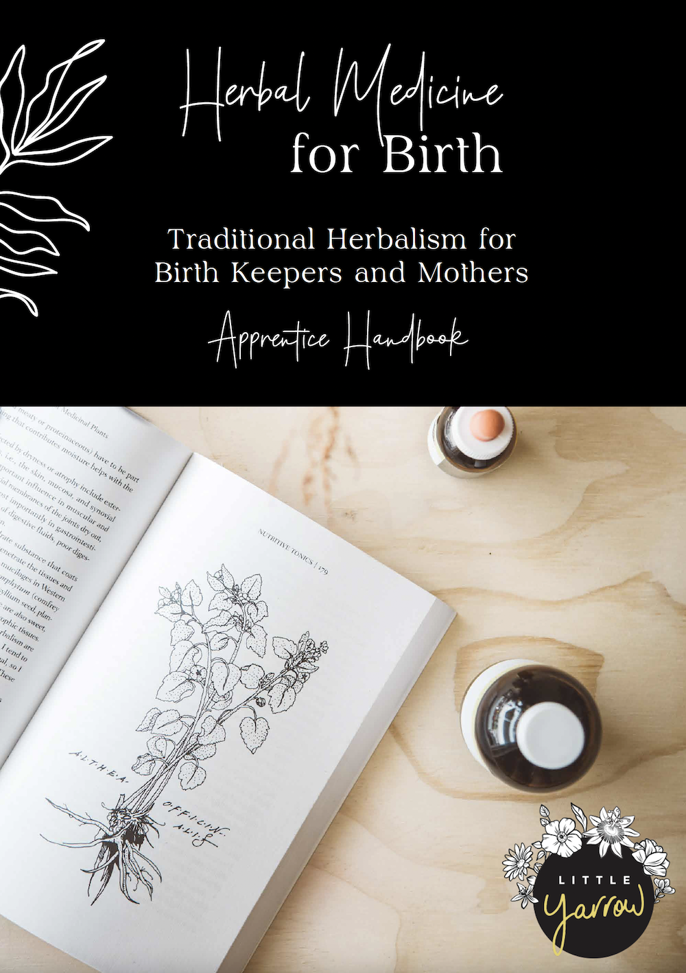 Herbal Medicine for Birth Herbal Medicine for Birth